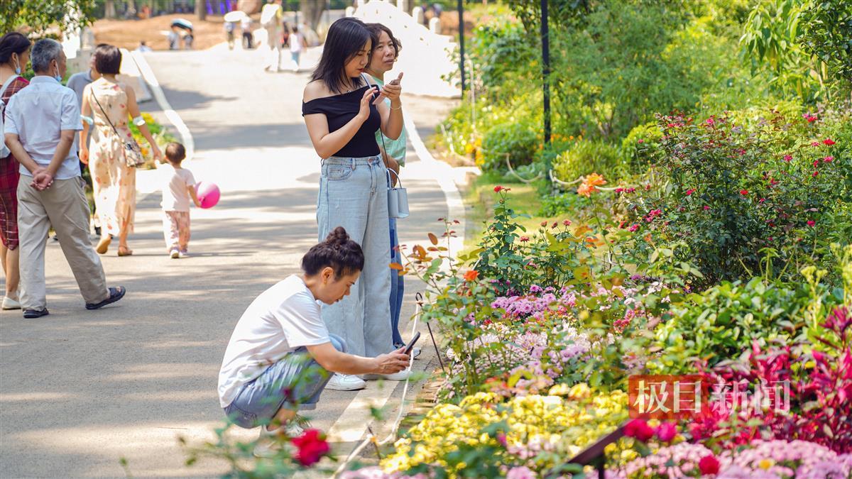 欢乐来斗牛